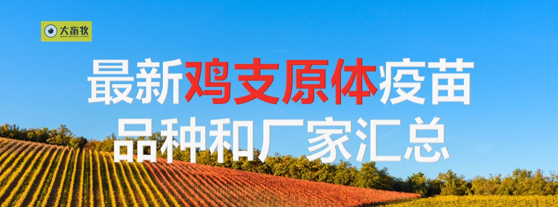 最新鸡支原体疫苗品种和厂家汇总(2024年版)