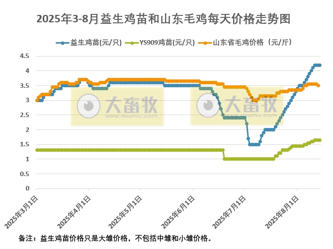2025年8月14日鸡苗和毛鸡行情资讯
