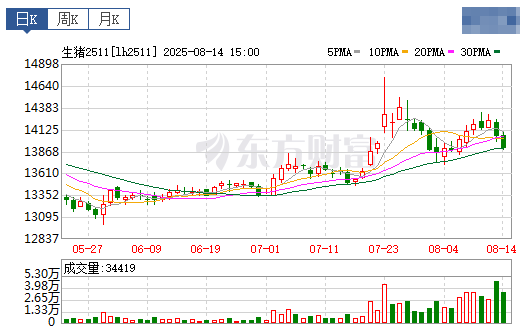 2025.08.15 今天猪价行情分析