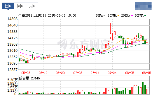 2025.08.16 今天猪价行情分析