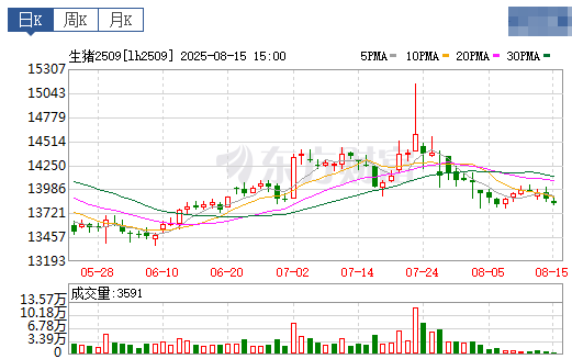 2025.08.16 今天猪价行情分析