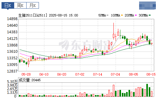 2025.08.17 今天猪价行情分析