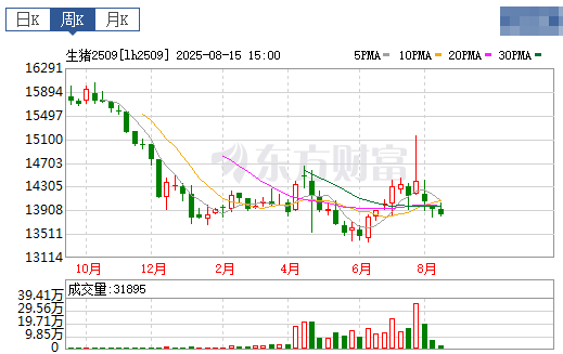 2025.08.17 今天猪价行情分析