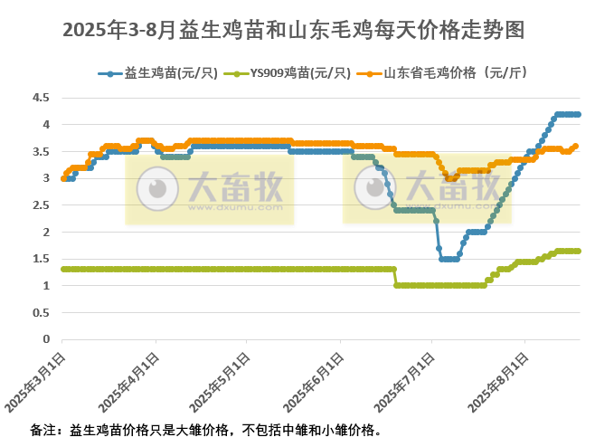 2025年8月18日鸡苗和毛鸡行情资讯