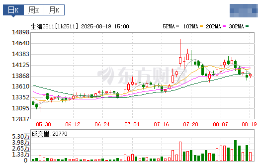 2025.08.20 今天猪价行情分析