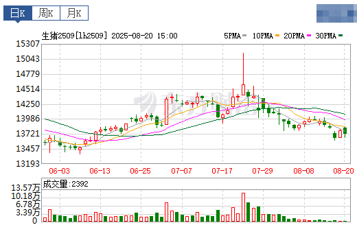 2025.08.21 今天猪价行情分析