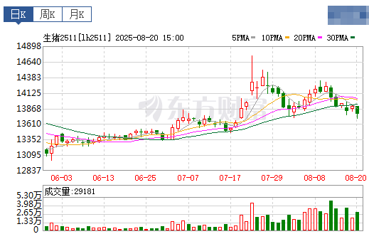 2025.08.21 今天猪价行情分析