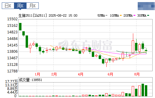 2025.08.24 今天猪价行情分析