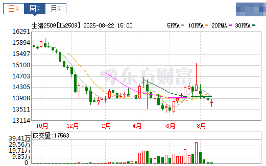 2025.08.24 今天猪价行情分析