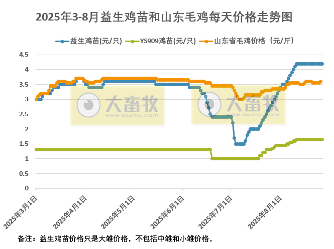 2025年8月27日鸡苗和毛鸡行情资讯
