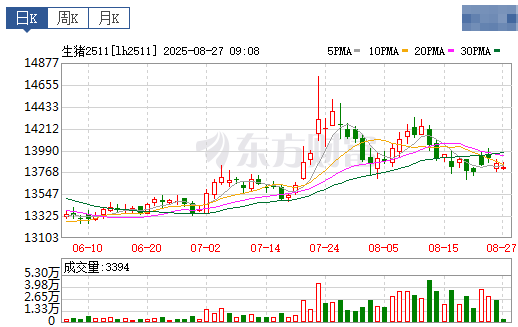 2025.08.27 今天猪价行情分析