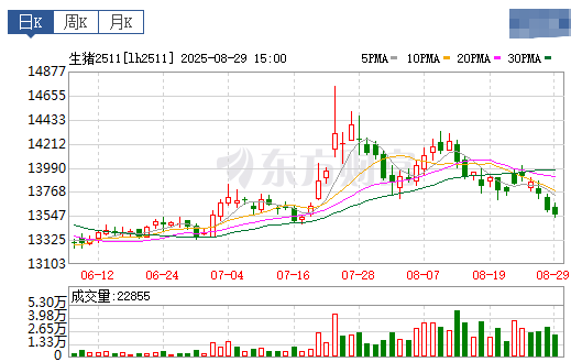 2025.08.30 今天猪价行情分析