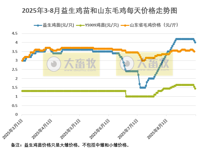 2025年8月31日鸡苗和毛鸡行情资讯