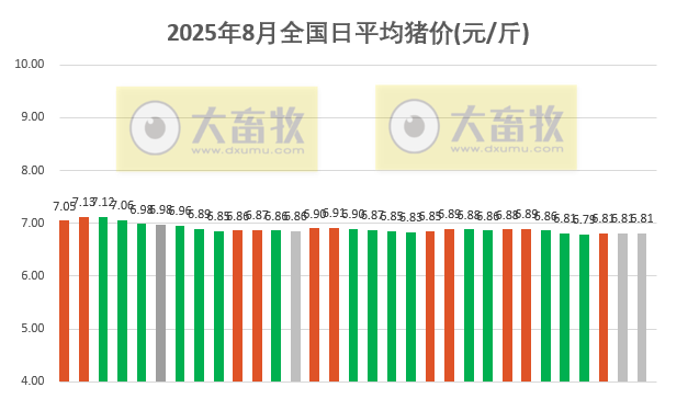 2025.08.31 今天猪价行情分析