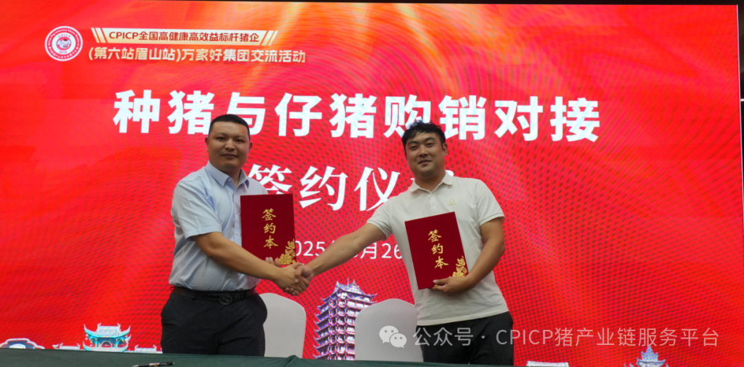 CPICP 全国高健康高效益标杆企业万家好集团暨 AI + 新营销赋能猪企交流活动圆满成功