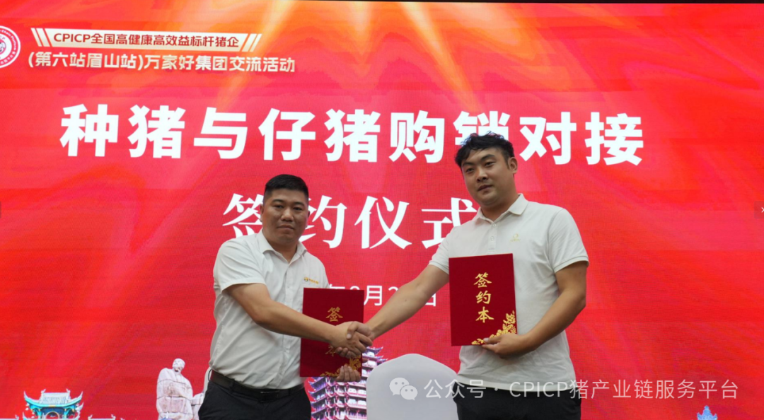 CPICP 全国高健康高效益标杆企业万家好集团暨 AI + 新营销赋能猪企交流活动圆满成功