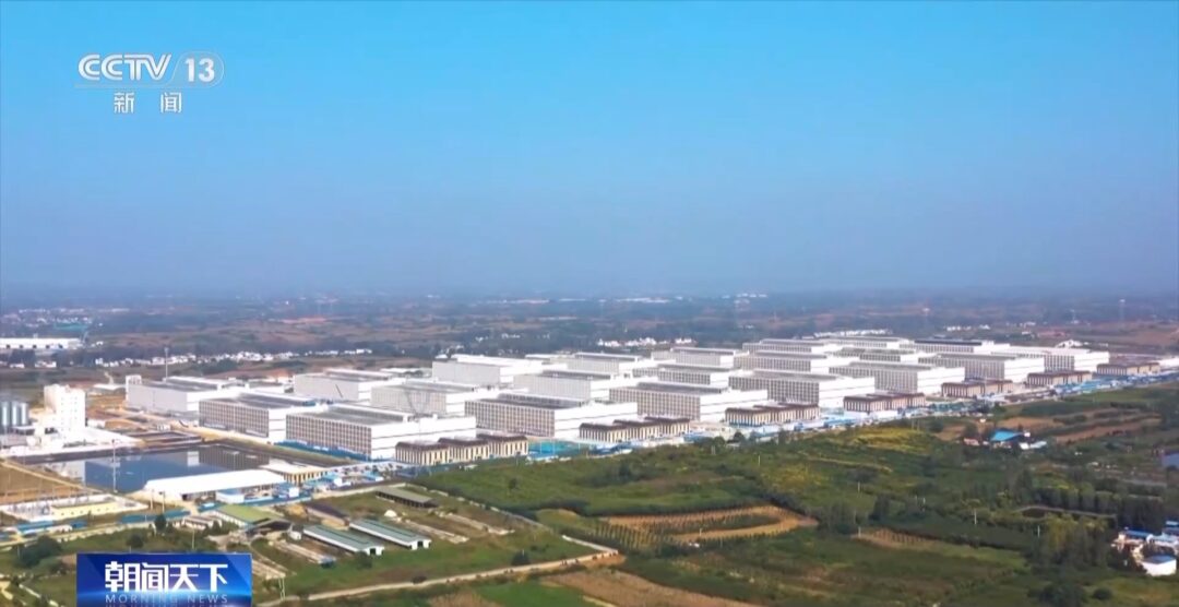 “二师兄”的身价要稳住,猪企开始给猪“减肥”了