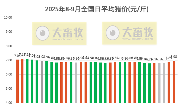 2025.09.02 今天猪价行情分析