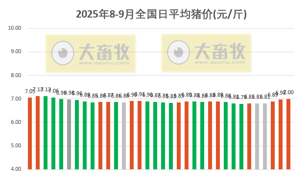 2025.09.03 今天猪价行情分析