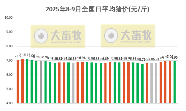 2025.09.04 今天猪价行情分析
