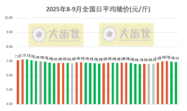 2025.09.05 今天猪价行情分析