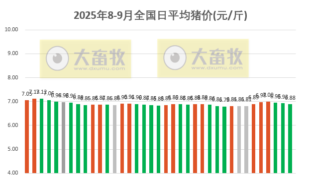 2025.09.06 今天猪价行情分析