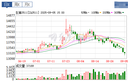 2025.09.06 今天猪价行情分析