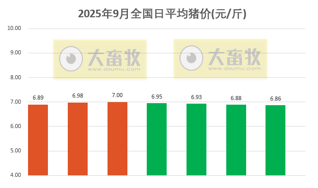 2025.09.07 今天猪价行情分析