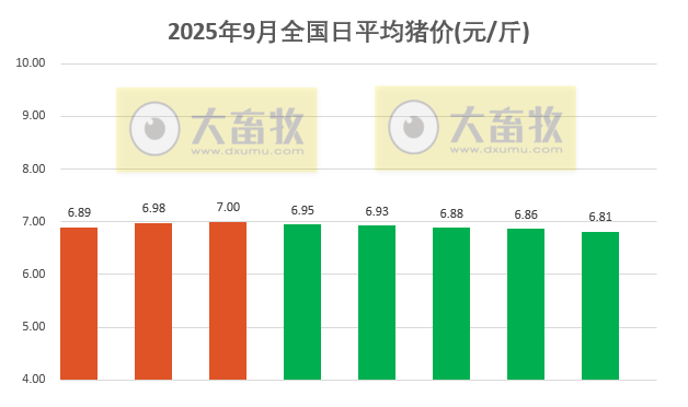 2025.09.08 今天猪价行情分析