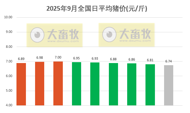 2025.09.09 今天猪价行情分析
