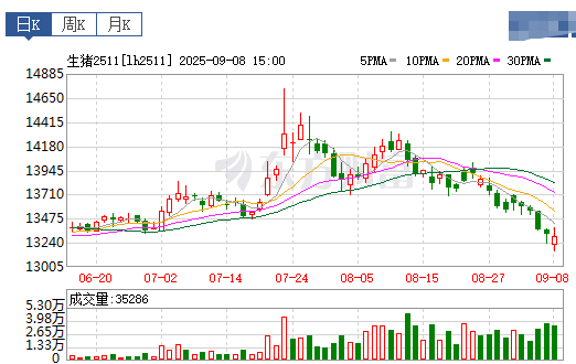 2025.09.09 今天猪价行情分析