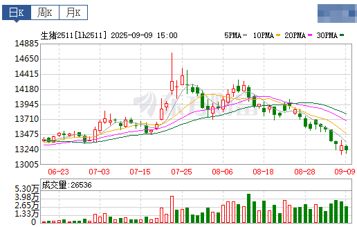 2025.09.10 今天猪价行情分析