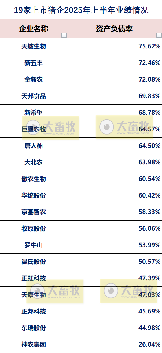 2025.09.16 今天猪价行情分析