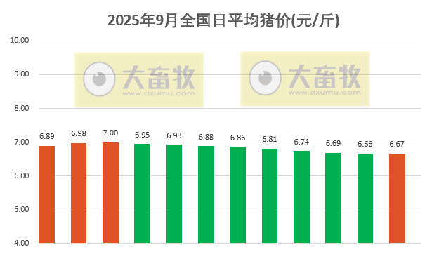 2025.09.12 今天猪价行情分析