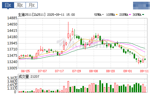2025.09.12 今天猪价行情分析