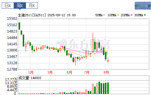 2025.09.14 今天猪价行情分析