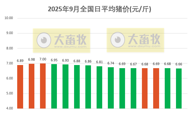 2025.09.15 今天猪价行情分析
