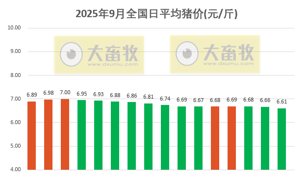 2025.09.16 今天猪价行情分析