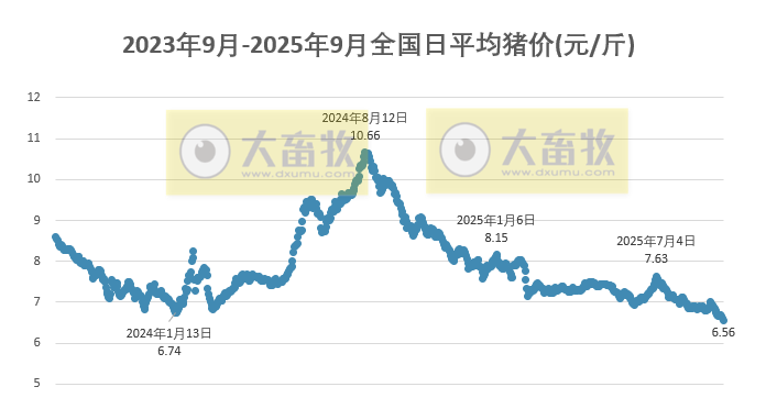 2025.09.17 今天猪价行情分析