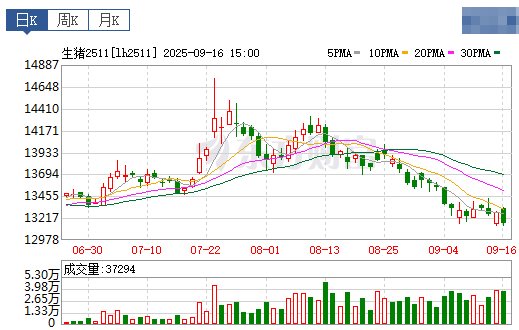 2025.09.17 今天猪价行情分析