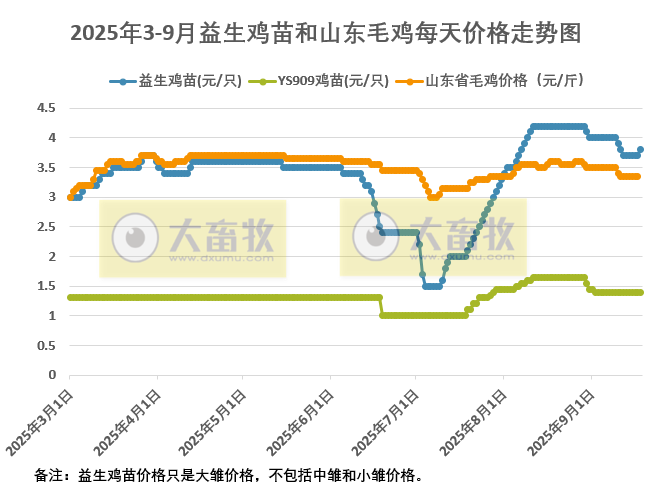 2025年9月18日益生鸡苗和山东毛鸡行情资讯
