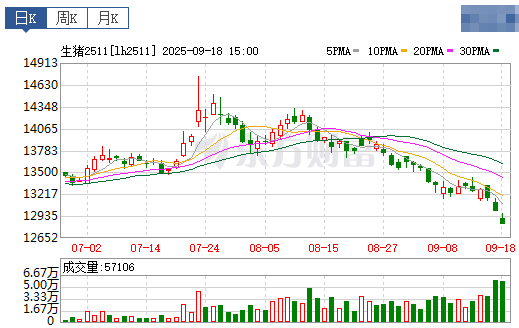 2025.09.19 今天猪价行情分析