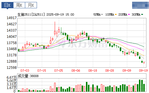 2025.09.20 今天猪价行情分析