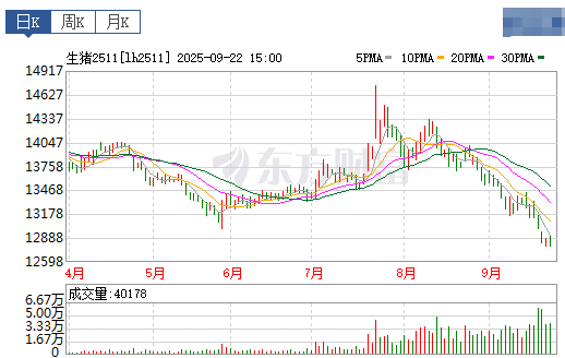 2025.09.23 今天猪价行情分析