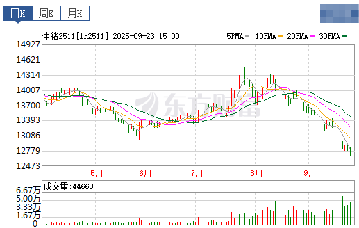 2025.09.24 今天猪价行情分析