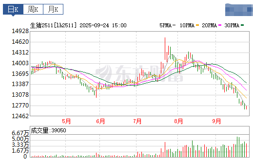 2025.09.25 今天猪价行情分析