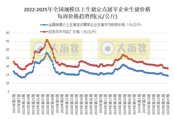 2025.09.25 今天猪价行情分析