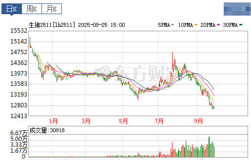 2025.09.26 今天猪价行情分析