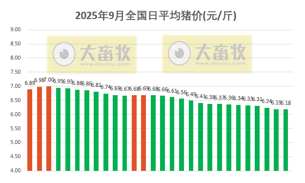 2025.09.28 今天猪价行情分析