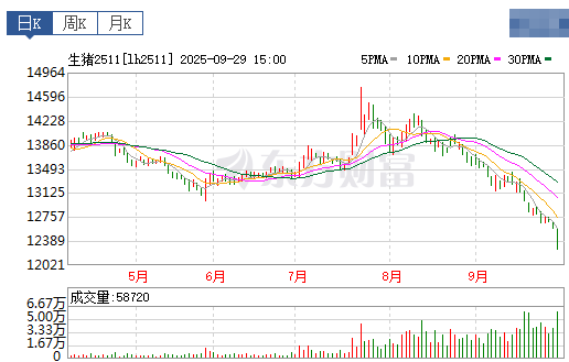 2025.09.30 今天猪价行情分析
